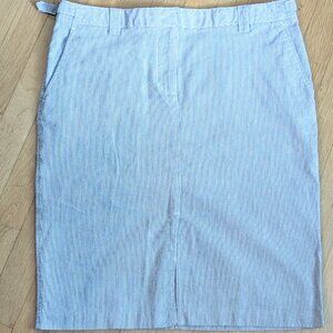 Skirt - Isaac Mizrahi for Target - SZ 12